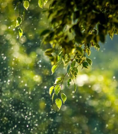 Nachhaltige Büromöbel